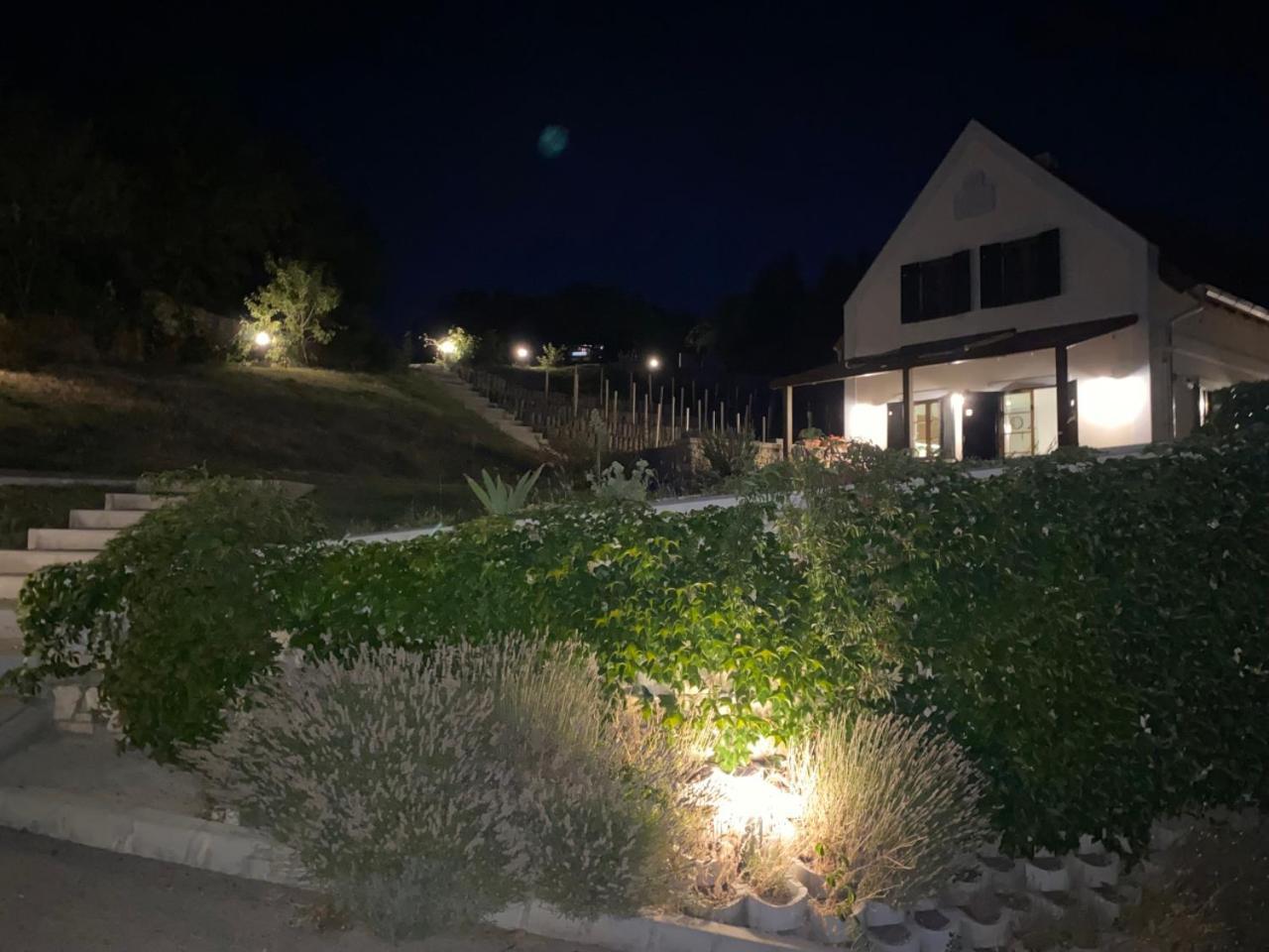 Vászoly Borbora Borhaz Villa מראה חיצוני תמונה